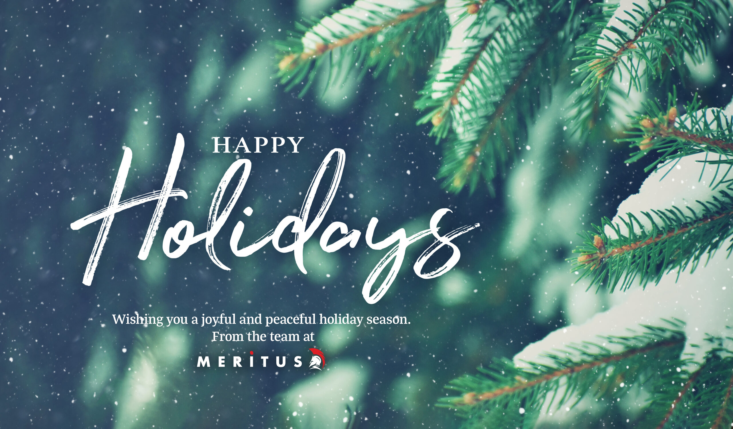 Happy Holidays from the team at Meritus Media